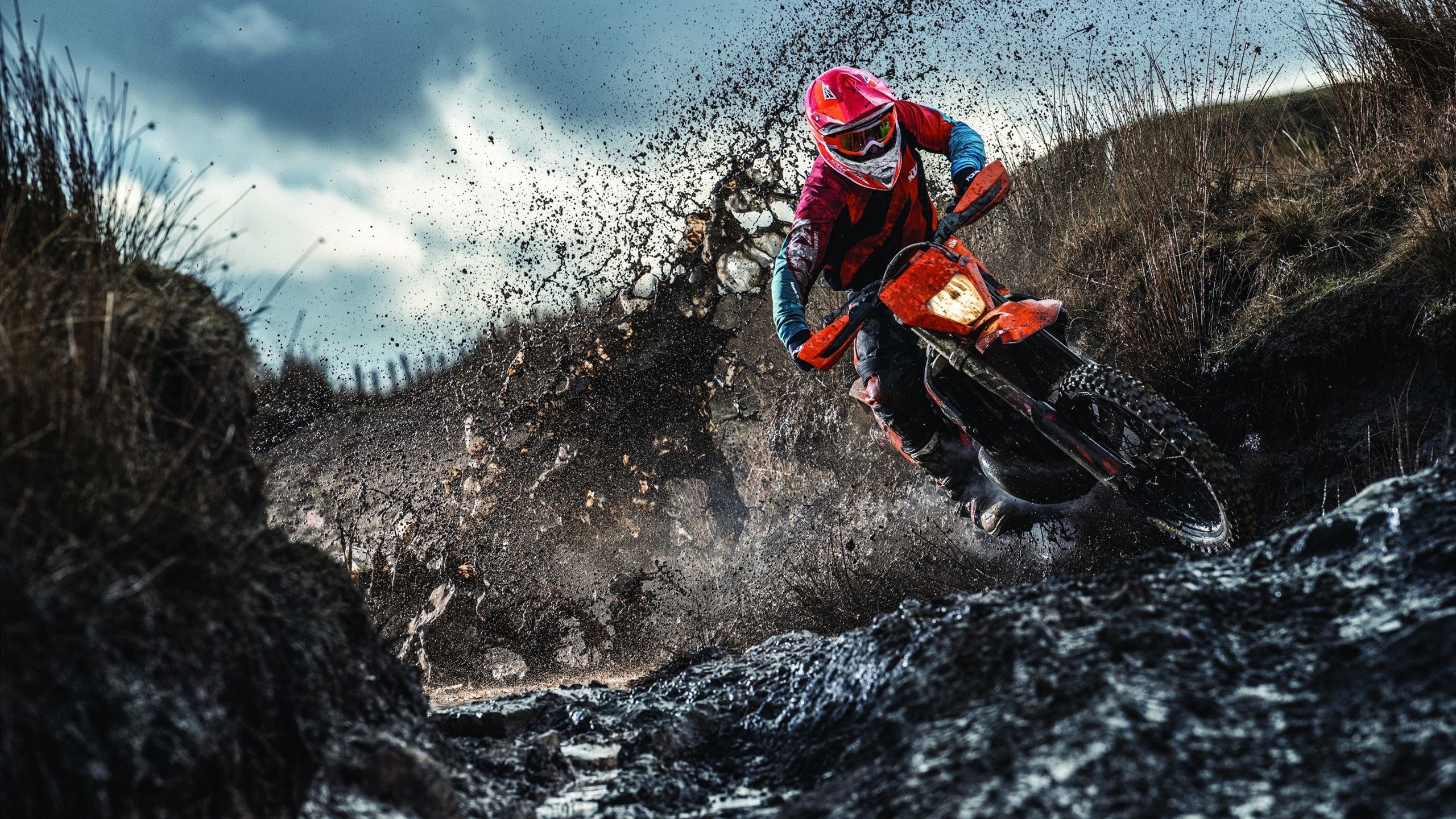 阿根廷击溃勒沃库森，赖斯如何成为关键先生的战术密码