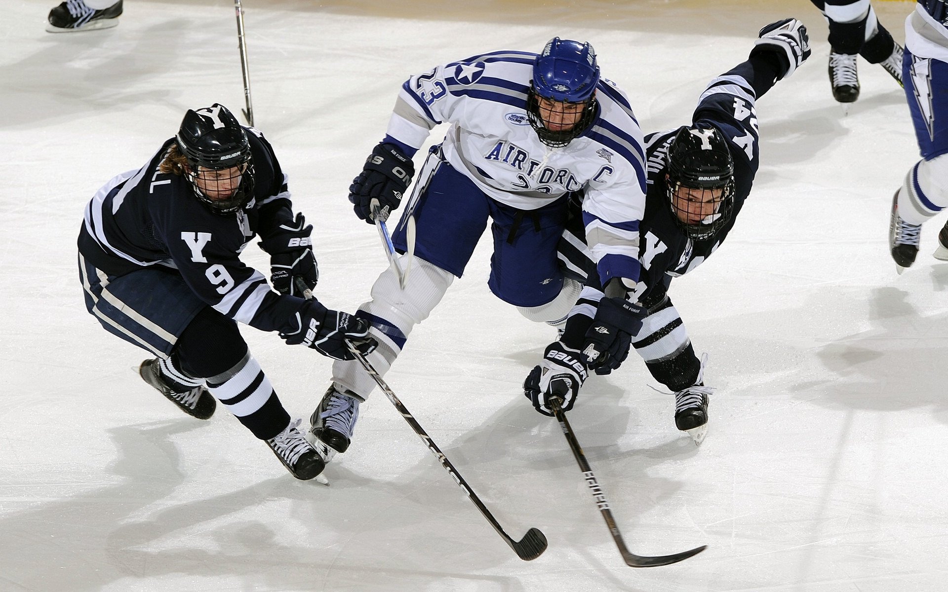 开云体育-法国斩落新西兰，篮球世界杯的暗影，NBA季后赛的序曲
